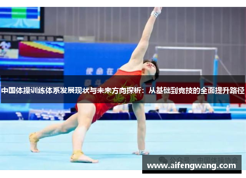 中国体操训练体系发展现状与未来方向探析：从基础到竞技的全面提升路径