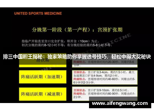 排三中国胆王揭秘：独家策略助你掌握选号技巧，轻松中得大奖秘诀